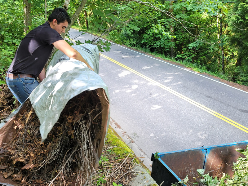 brush-and-leaf-removal